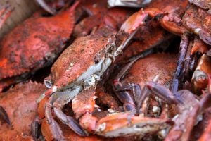 Steamed Chesapeake Crabs and Crushes Are Coming to U Street