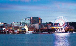 Fun Family Activities to Do This Summer in Washington