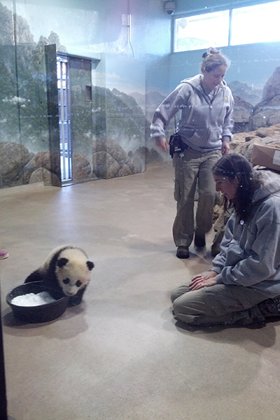 Bao Bao's First Snow Day