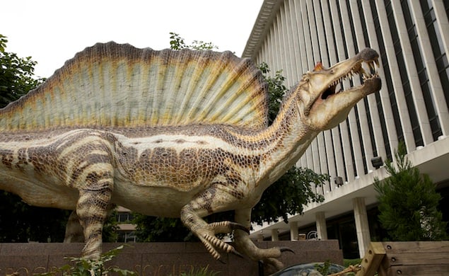 Spinosaurus Roars Into the National Geographic Museum - Washingtonian