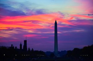 Photo Contest Winners: Highlight the Color Pink