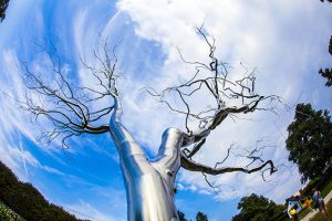 Photo Contest Winners: Your Favorite Piece of Art in Washington