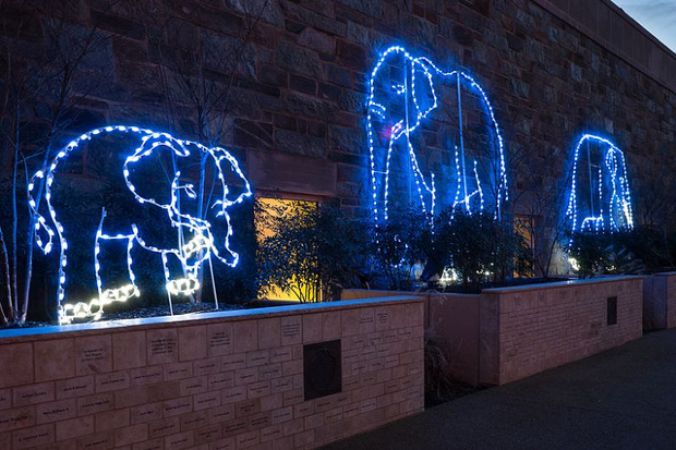 the best christmas lights around washington photos the best christmas lights around washington photos