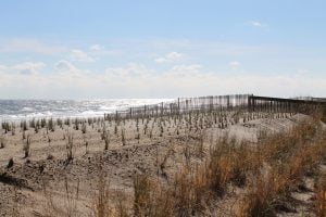 Where Washington-Area Beach Vacationers Travel From