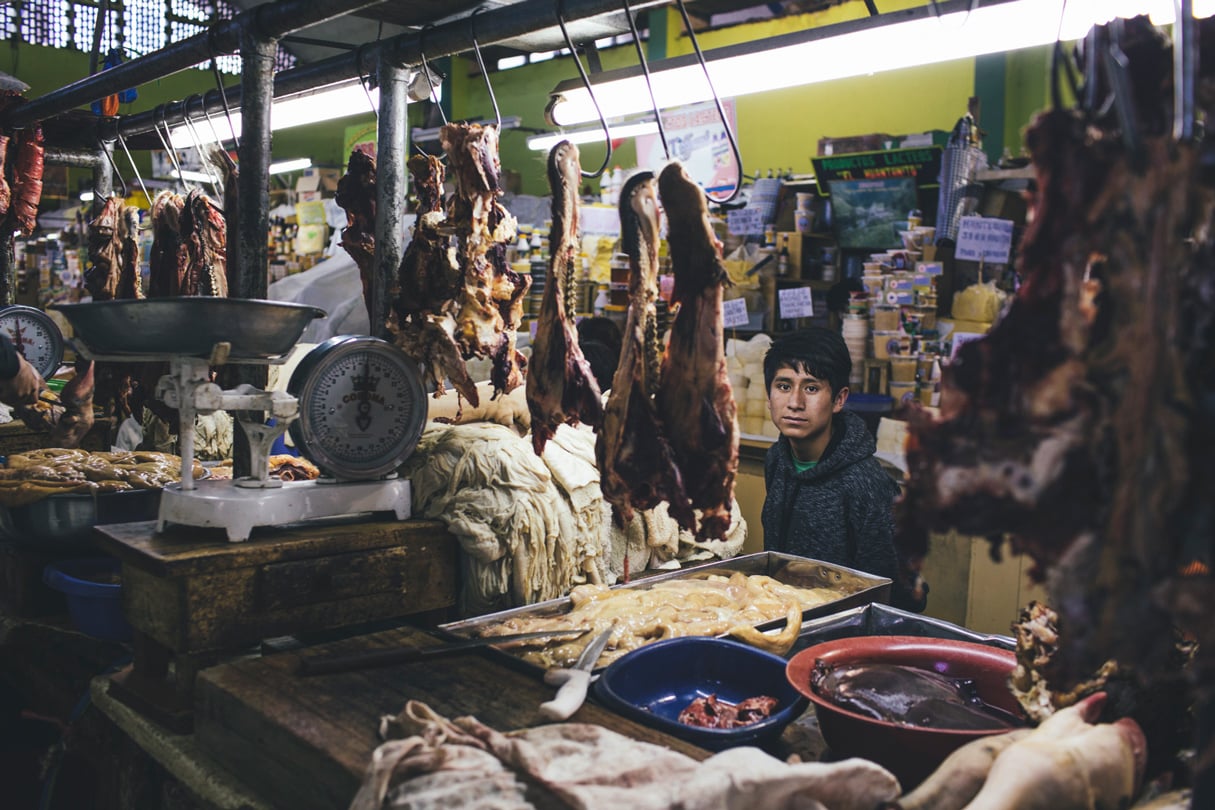 Behind the Scenes: Exploring Peru for the Folklife Festival