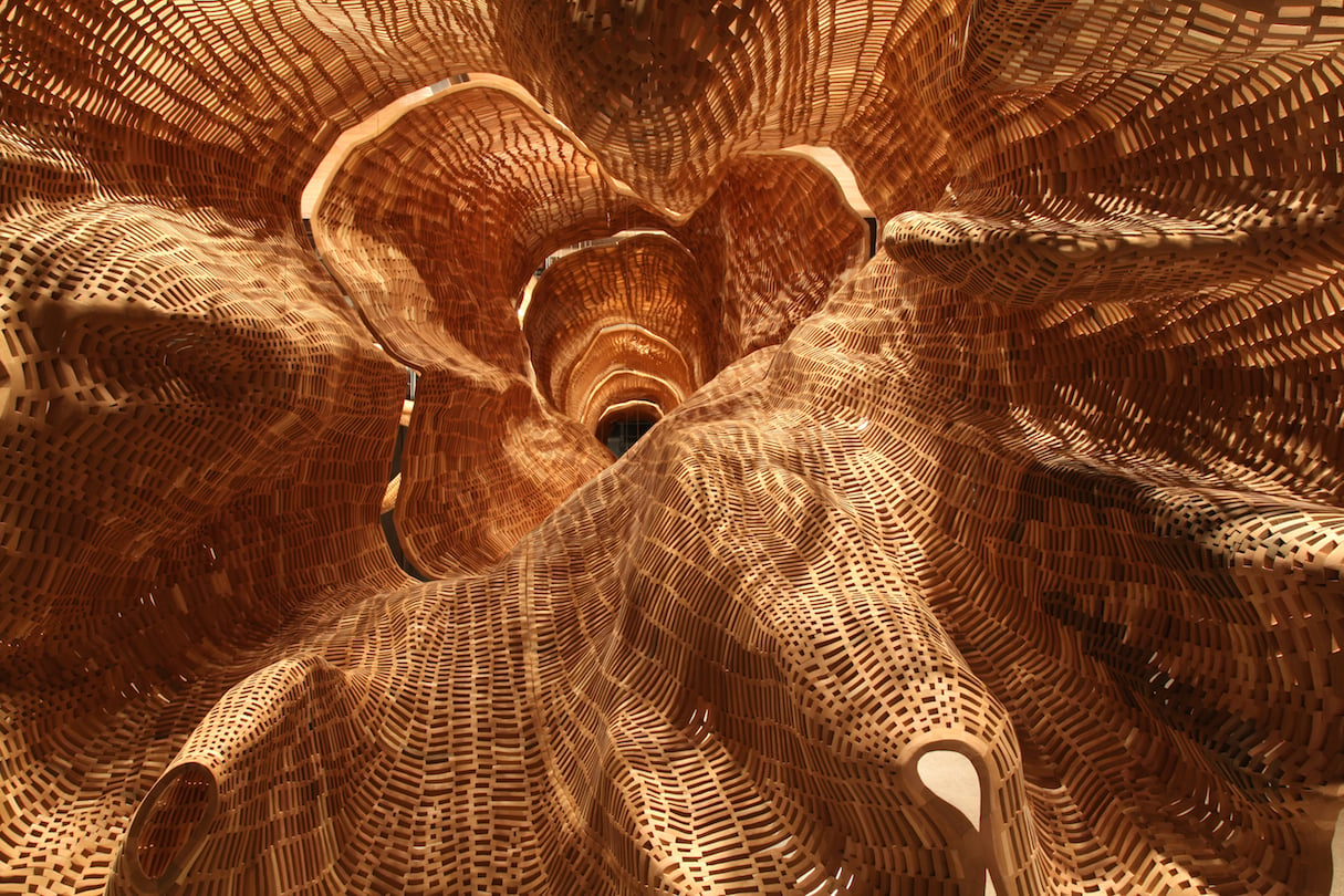 Watch This Artist Turn an Old Tree into a Mesmerizing Sculpture