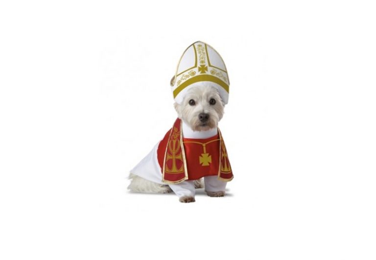 Dog Pope Costume
 s of Dogs Dressed Up Like the Pope Washingtonian