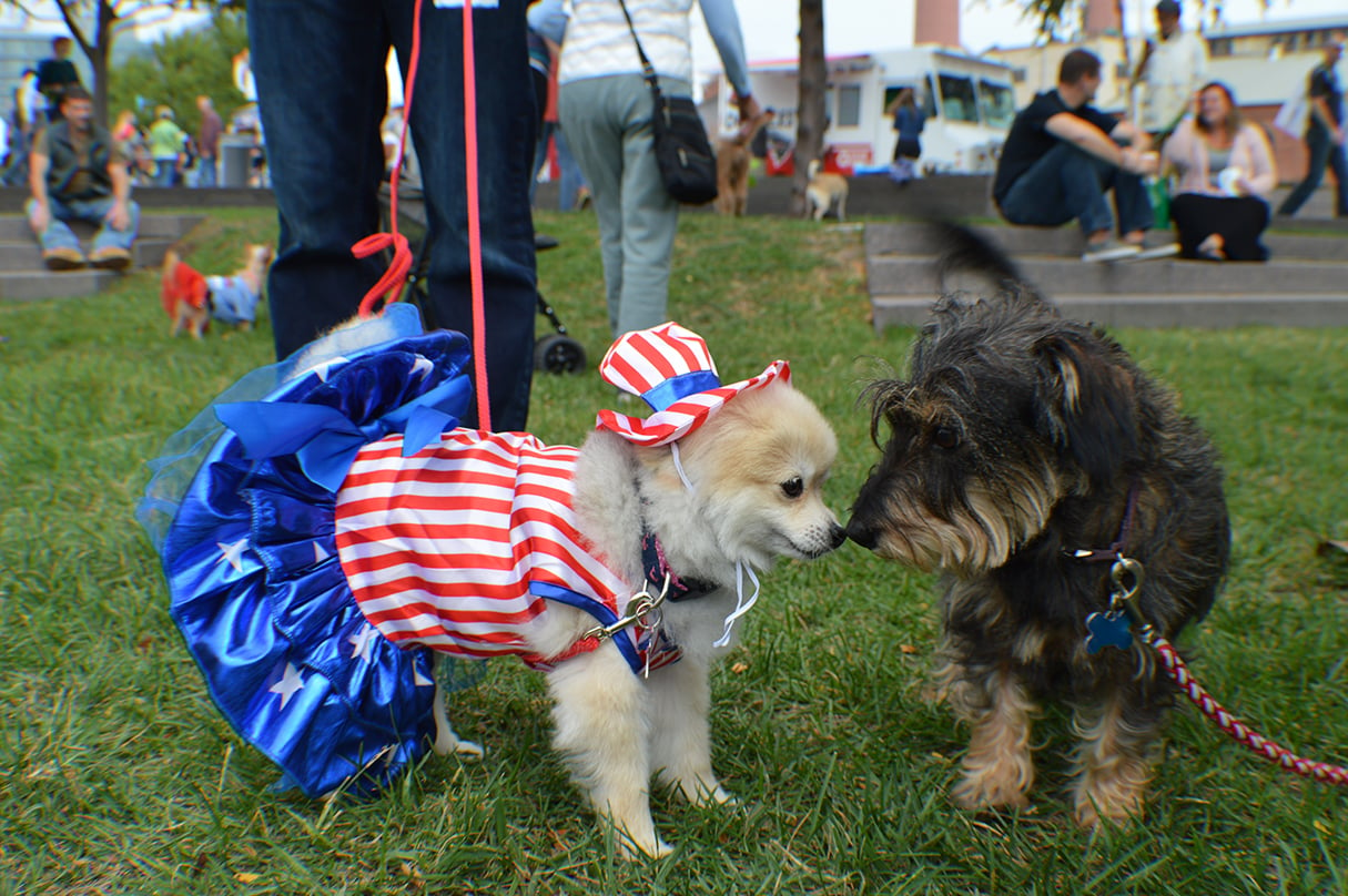 This doggie duo couldn't be any cuter.