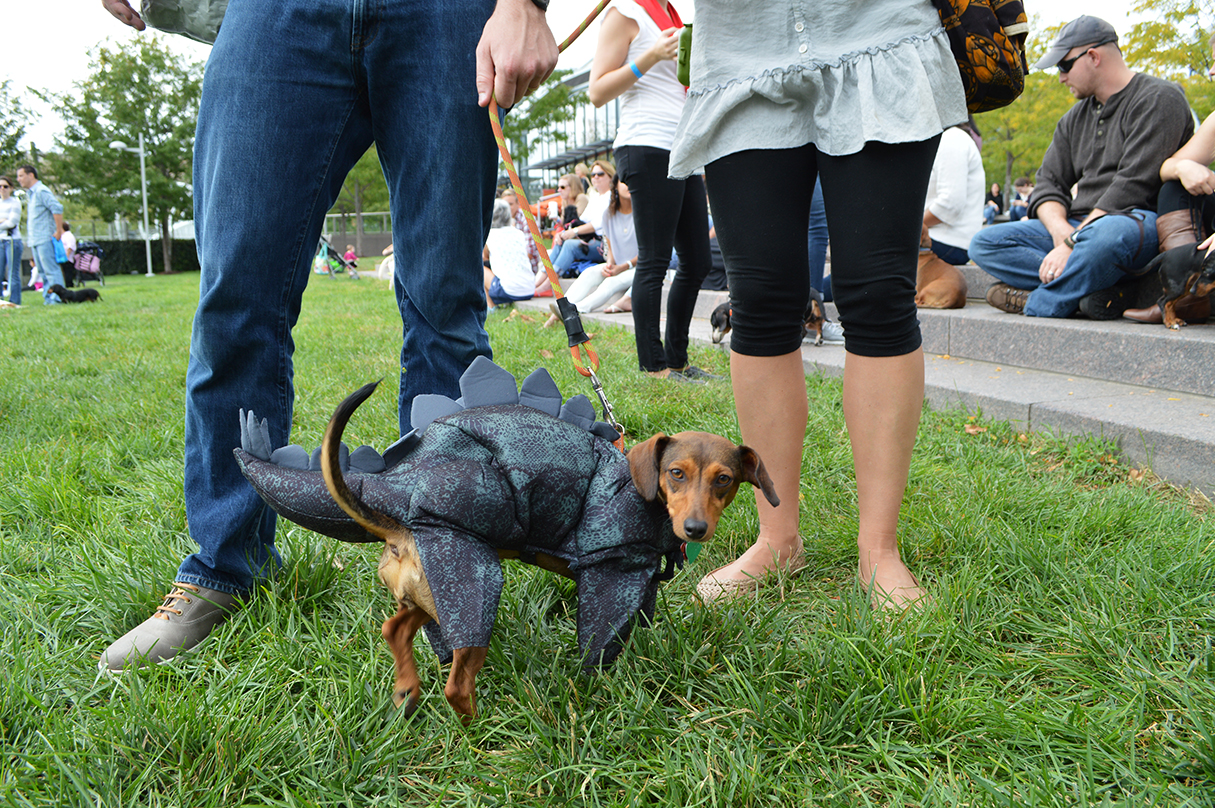 DSC_0409.jpg - Washingtonian Coolest costume goes to...