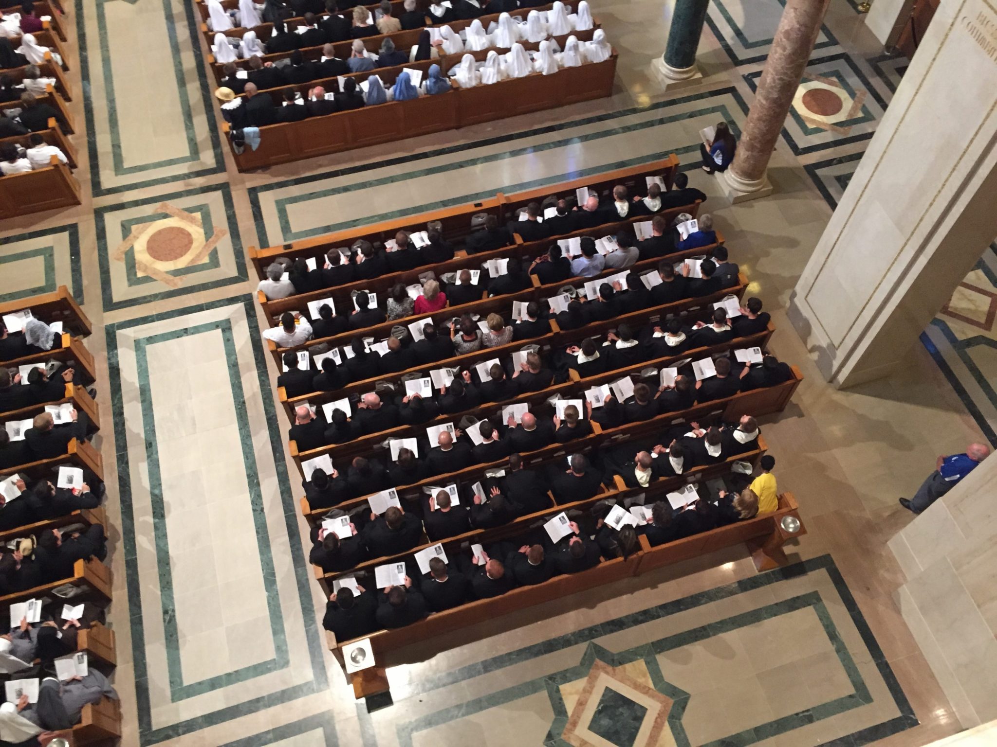 Photos From the Papal Mass in DC