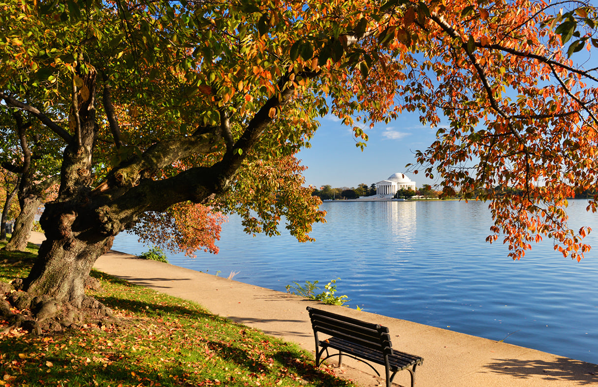 25 Places Around DC to Take Beautiful Fall Photos