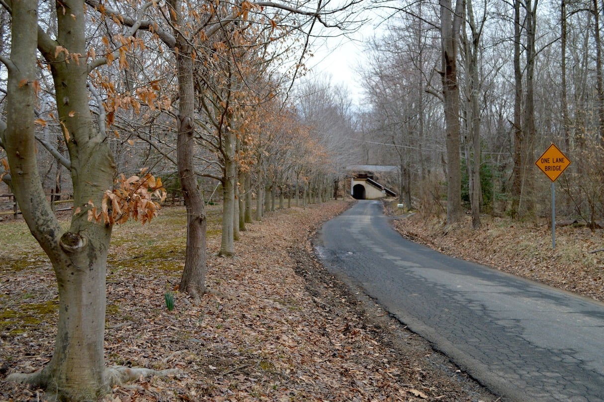 bunnyman-bridge-approach.jpg - Washingtonian