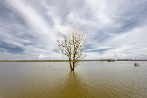 How Screwed Will Washington’s Environment Be by Trump’s Climate Policies?