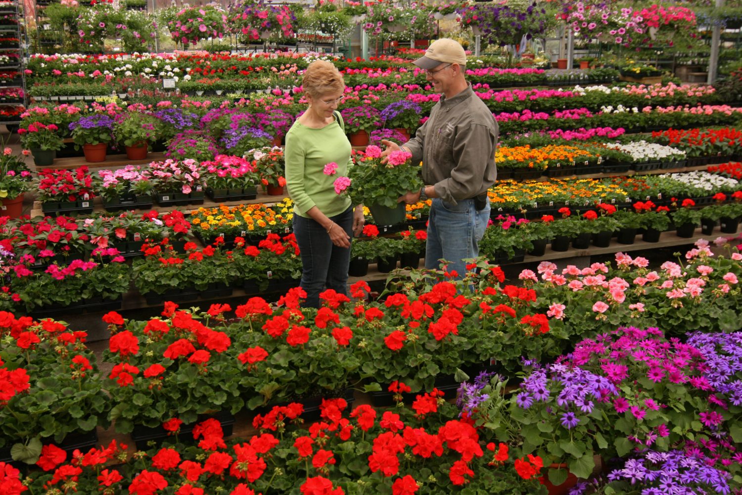 Craigslist landscaping jobs Craigslist landscaping jobs