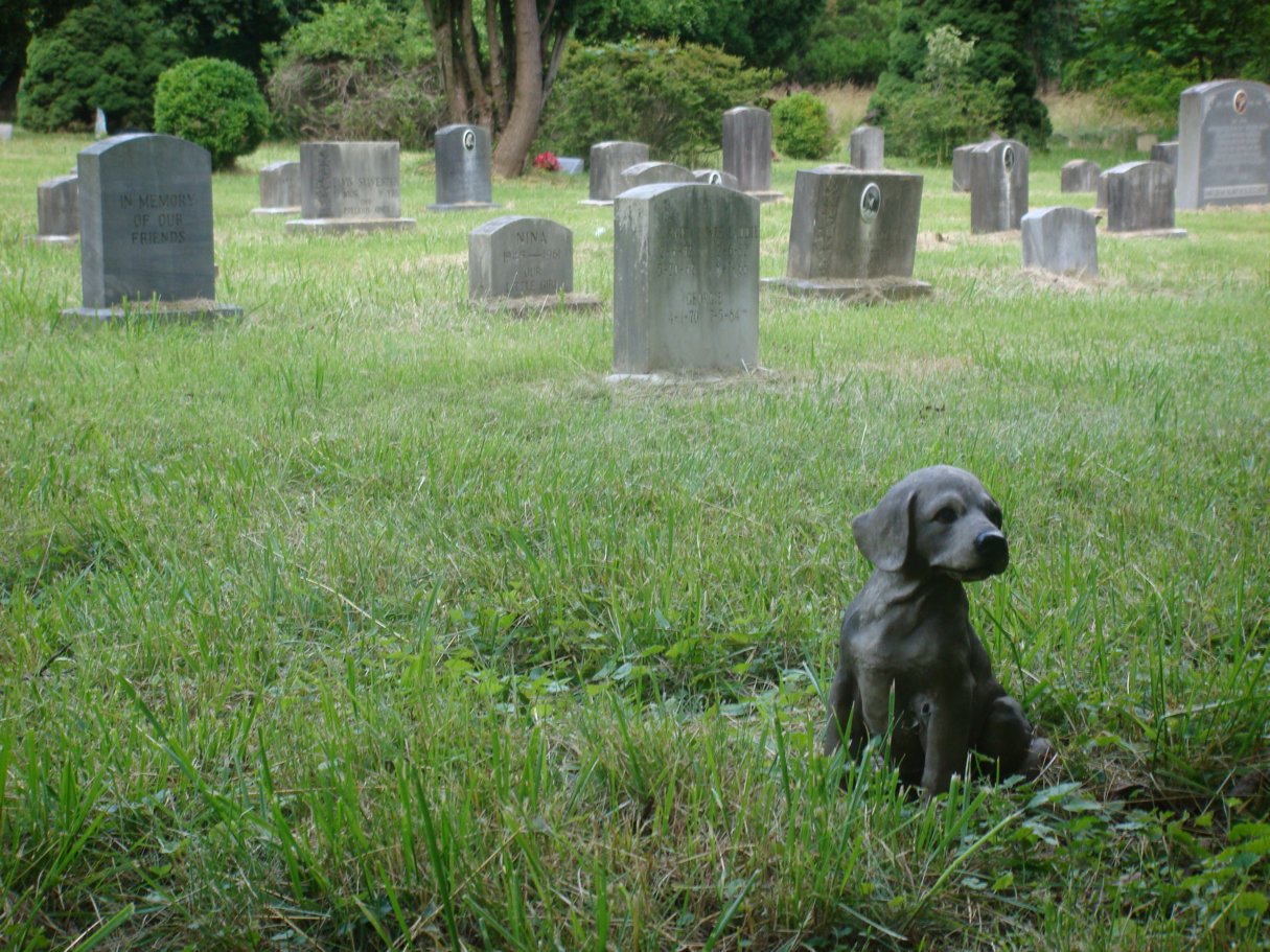 friends of the family pet cemetery
