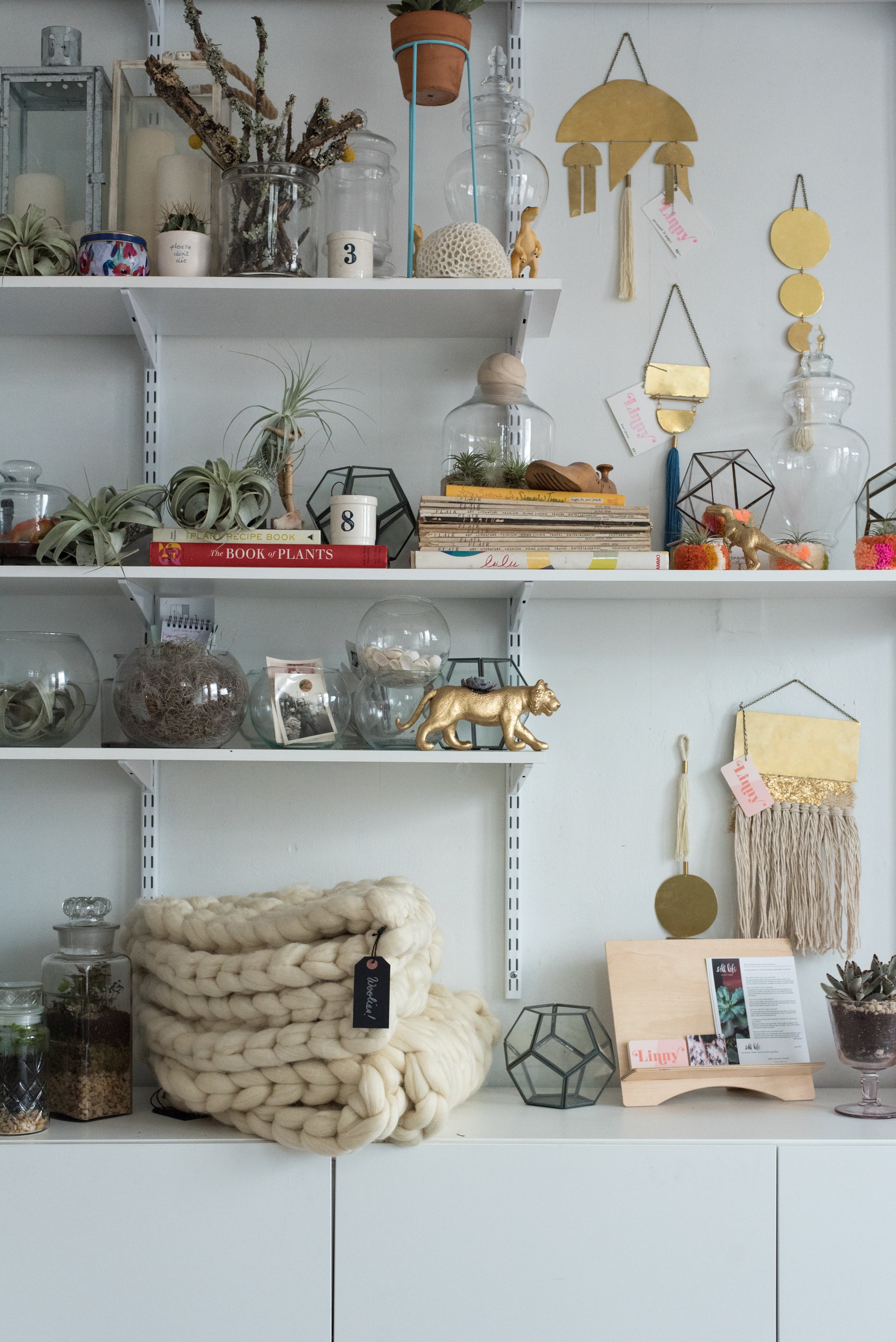 Cheerfully decorated shelves in The Lemon Bowl's sunny front room.