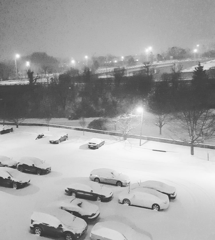 Pentagon City covered in snow. Photograph courtesy of Olga Berman.
