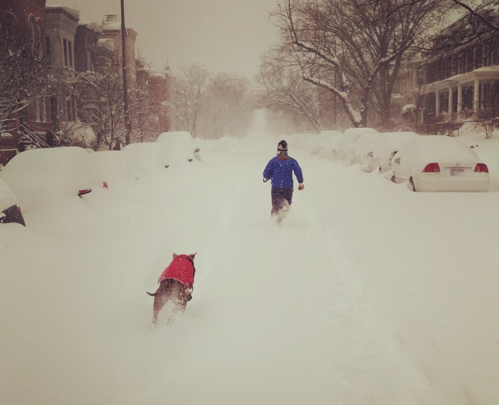 Margot and Alf running through Capitol Hill. Photo courtesy of Sam Taft.