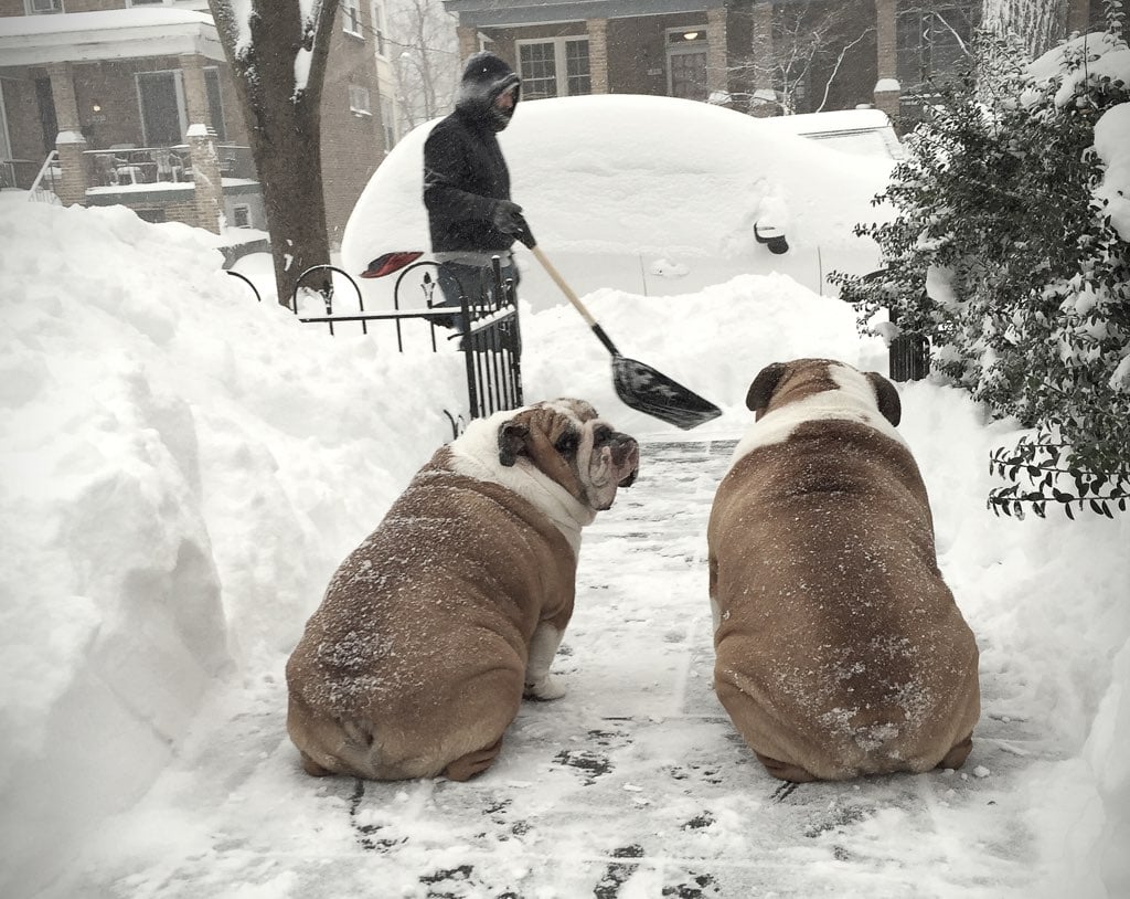 Albert and Bullet Mann performing quality control shoveling in Mount Pleasant Photo courtesy of Aurora Tice.