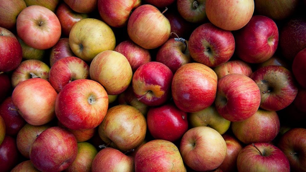 The Best Apples to Use to Make Cider at Home Washingtonian