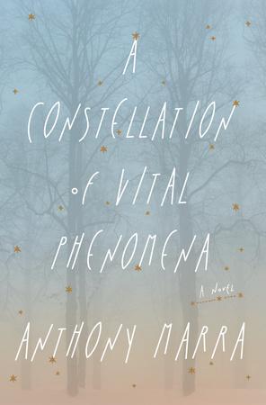 The cover for Constellation. 