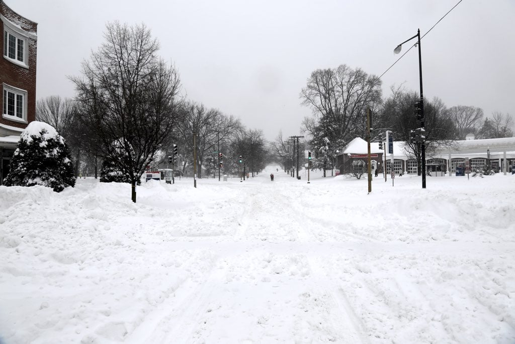 The middle of Massachusetts Avenue. Photograph by Cheri Shervin. 