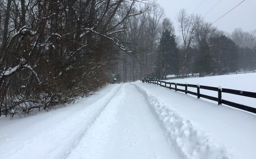 Out in the country in Fairfax Station, Va. Photo courtesy of Brenda Obusek.