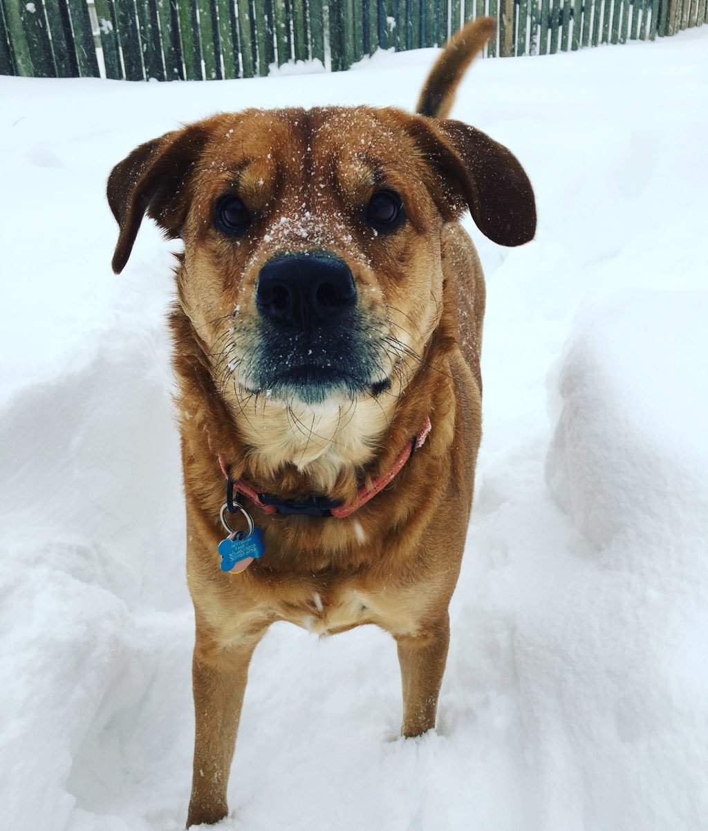 Hi, there is snow. Join me. Photograph courtesy of Lyndsey Hoffmann 