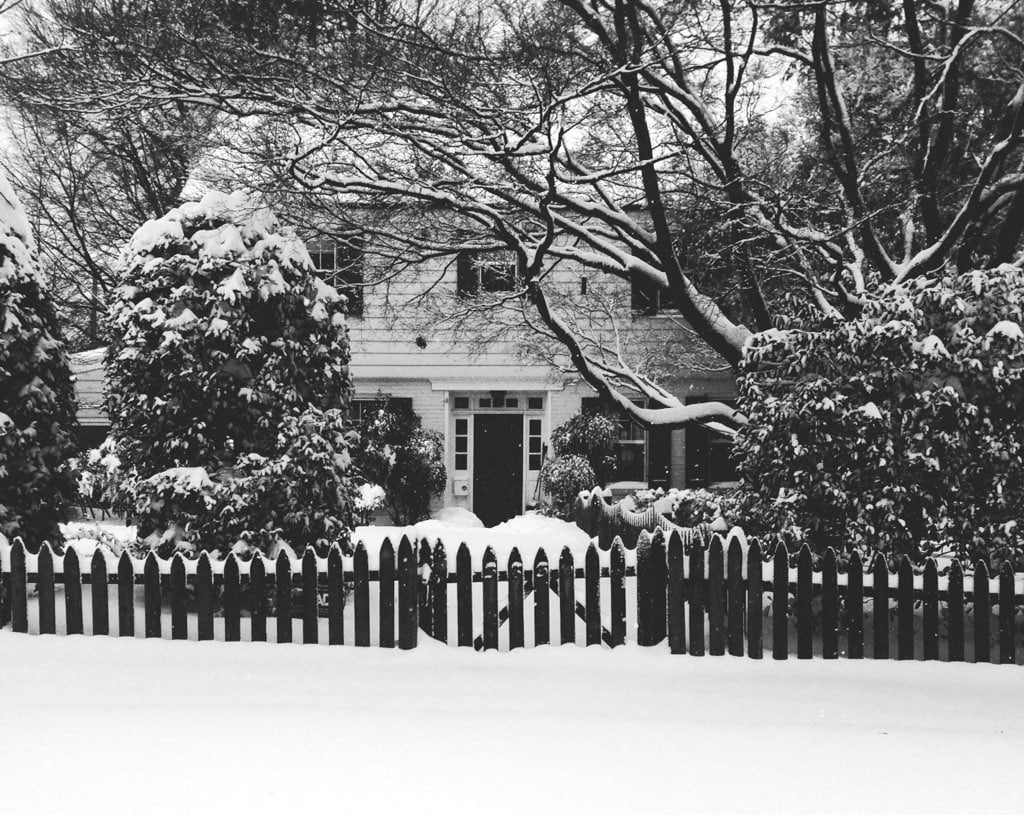 McLean Gardens in the snow. Photograph courtesy of Marie-Amelie Lebeau.