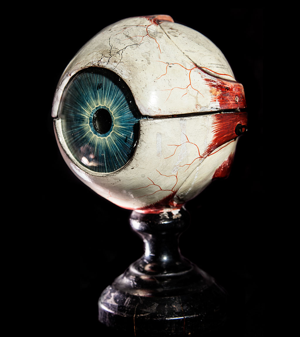 spendaweekendinphilly_muttermuseum - Washingtonian Photograph via Mütter Museum of the College of Physicians of Philadelphia.