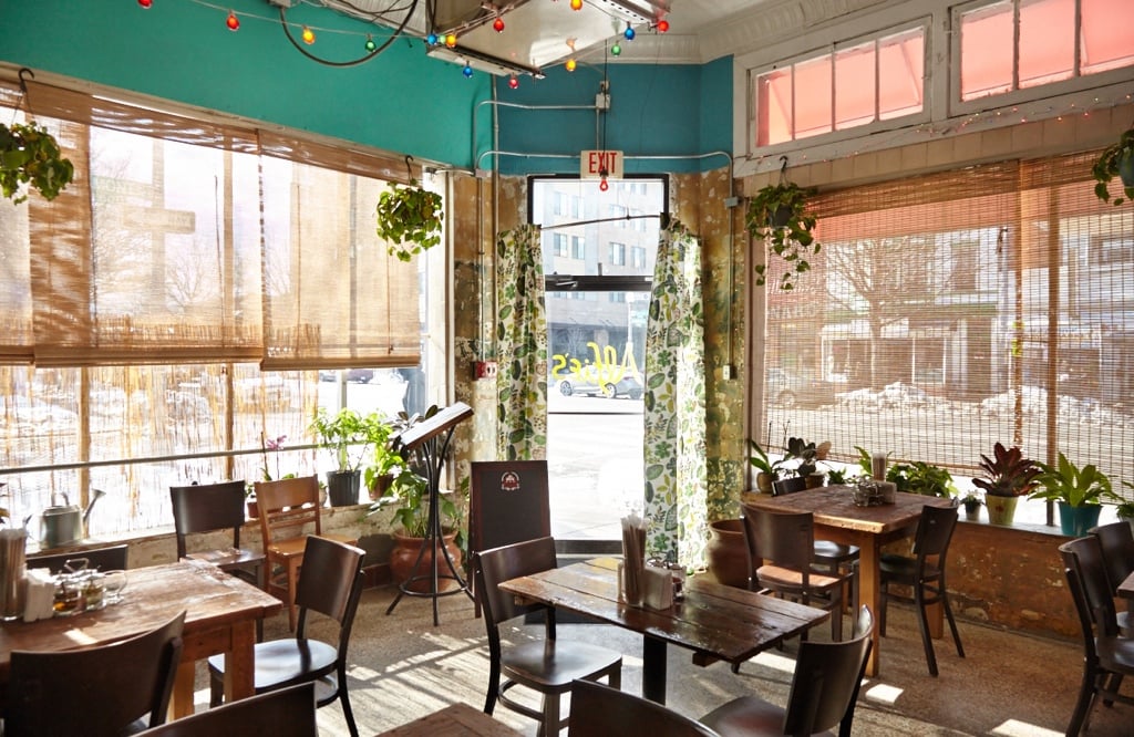 Alfies2 - Washingtonian
