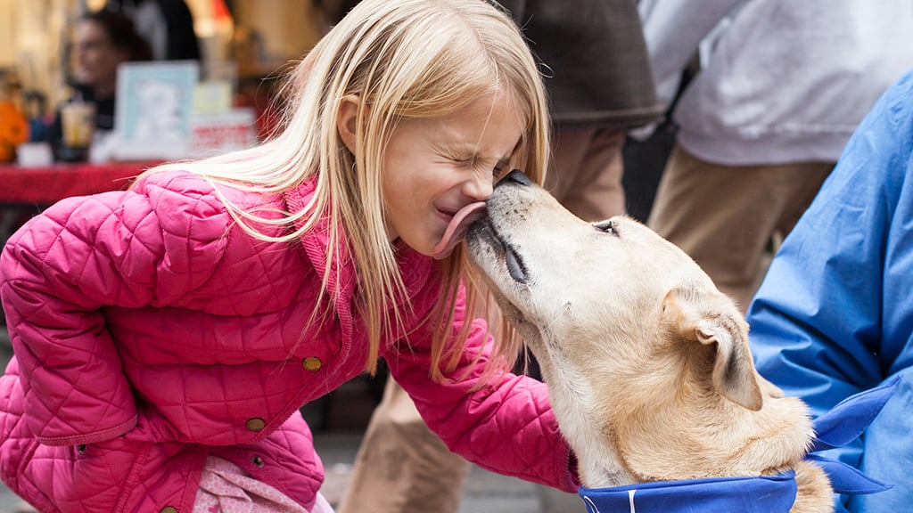 Pet rescues in Washington, DC. Photograph by Hannele Lahti.