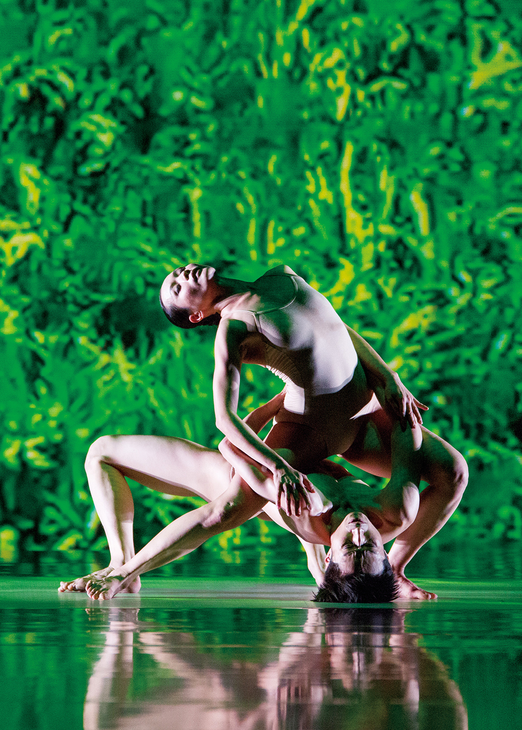february2016-thingstodo-cloudgatedancetheatreoftaiwan - Washingtonian Photograph courtesy of the Kennedy Center.