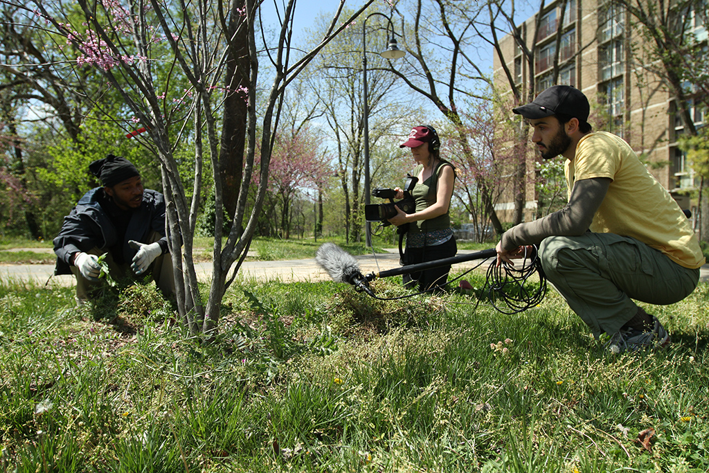 marchthingstodo_environmentalfilmfestival - Washingtonian Filming City of Trees, a local documentary by Brandon Kramer (right) and brother Lance. Photograph of City of Trees Courtesy of Meridian Hill Pictures