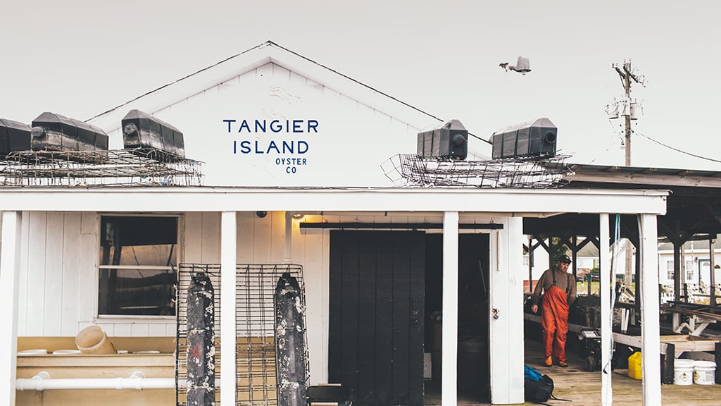 Tangier Island Is Sinking. Its Population Is Shrinking. And These Guys Want to Make It the Oyster Capital of the East Coast