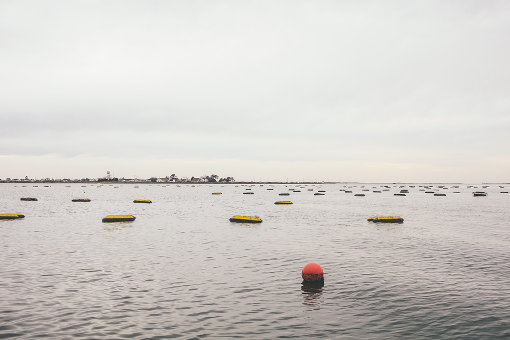 Tangier Island