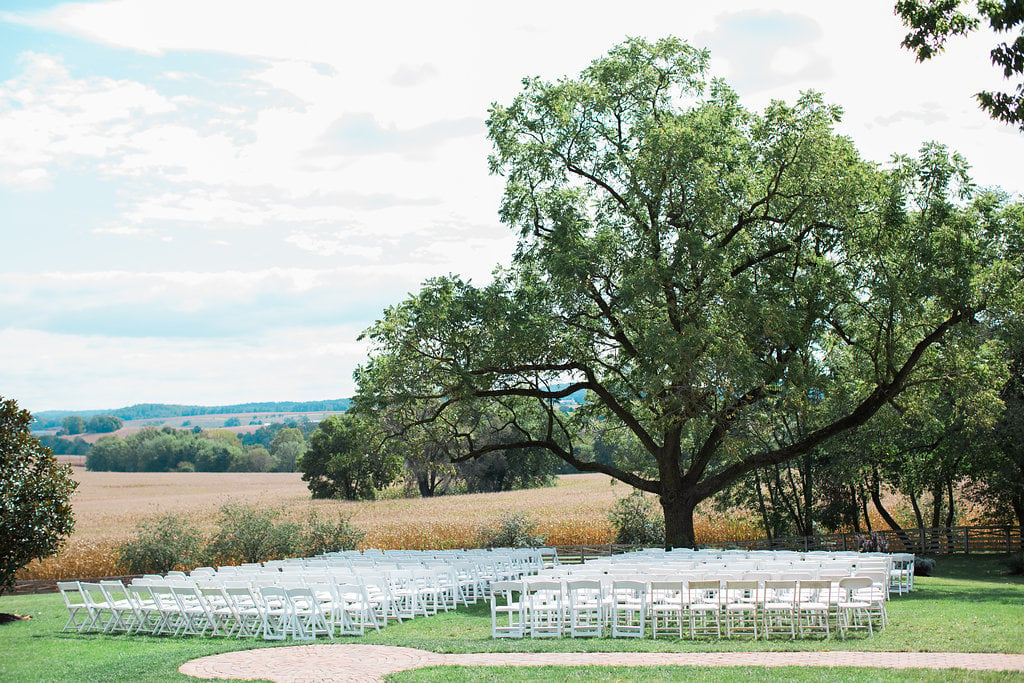 3-28-16-rustic-blue-wedding-maryland-9