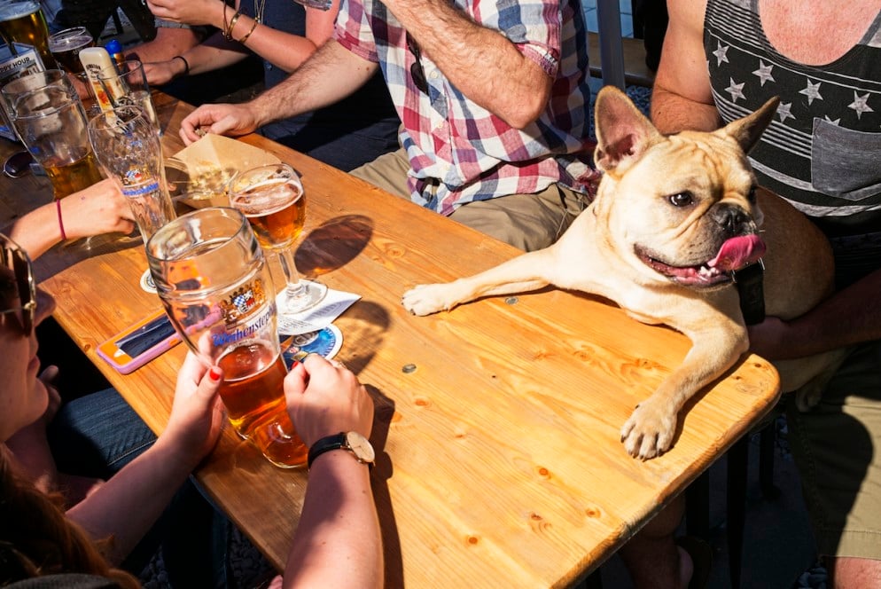 Dacha Beer Garden, Washington, DC - Washingtonian