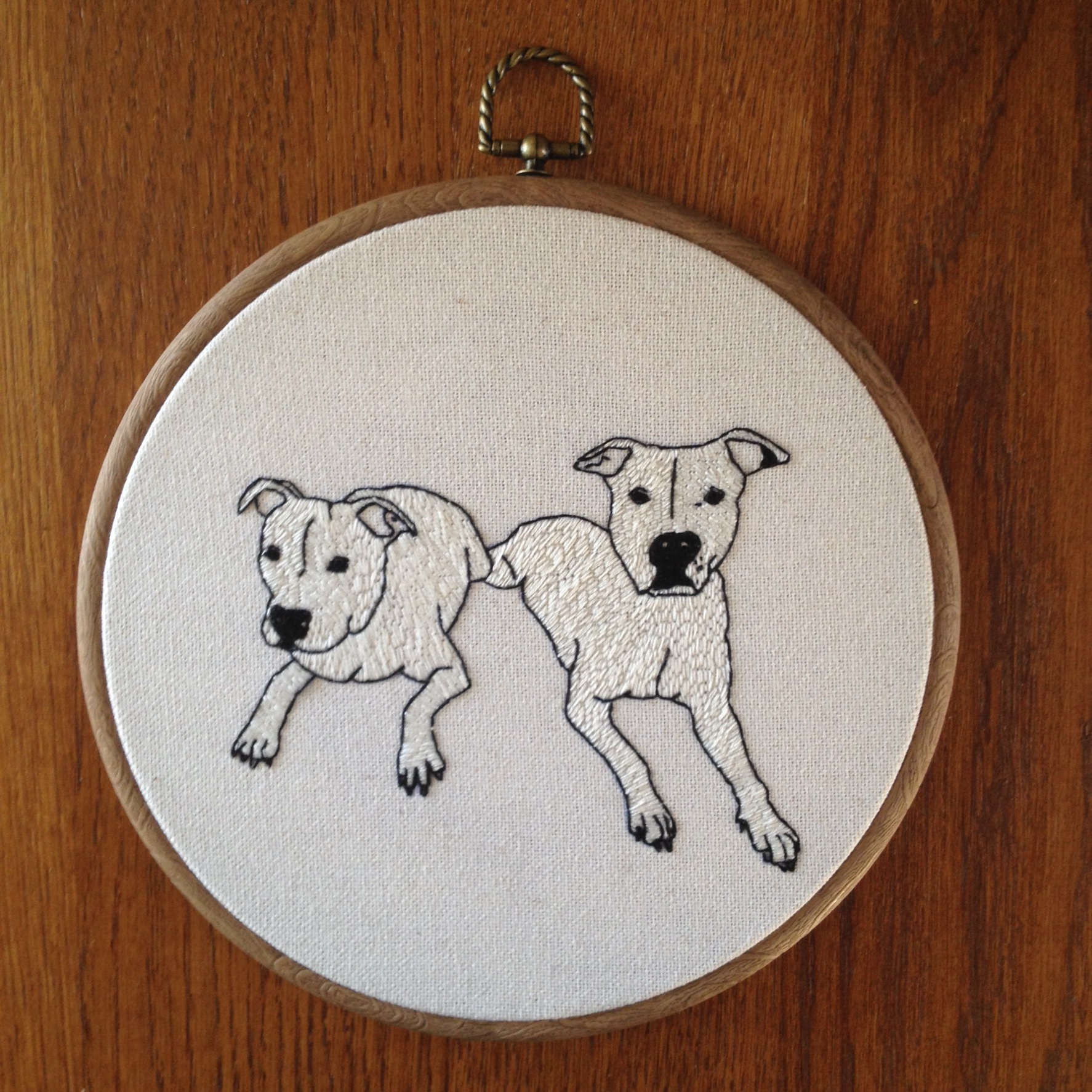 Dogs