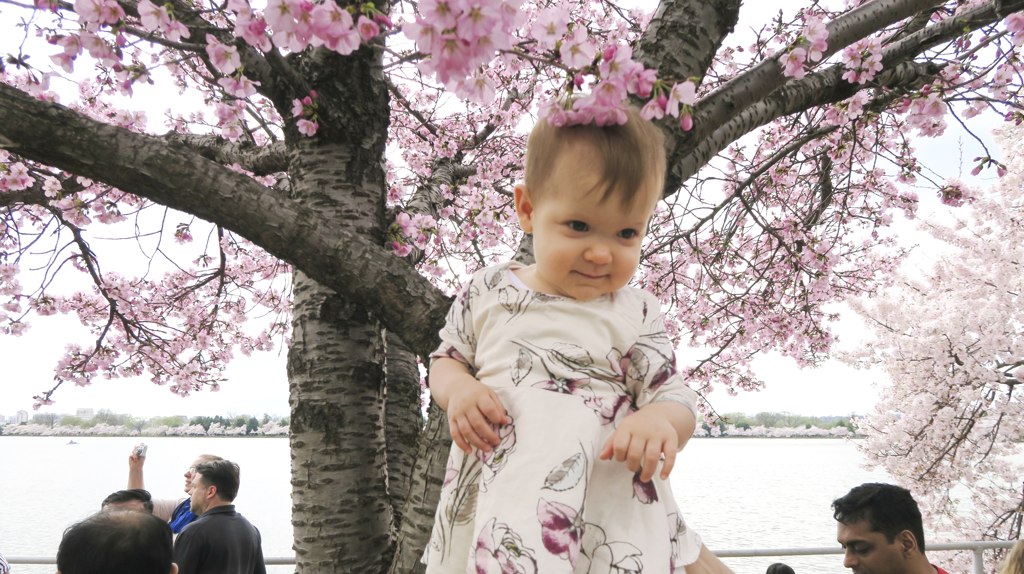 Naomi Pokidyuk is celebrating her 1-year-old birthday at the Tidal Basin.