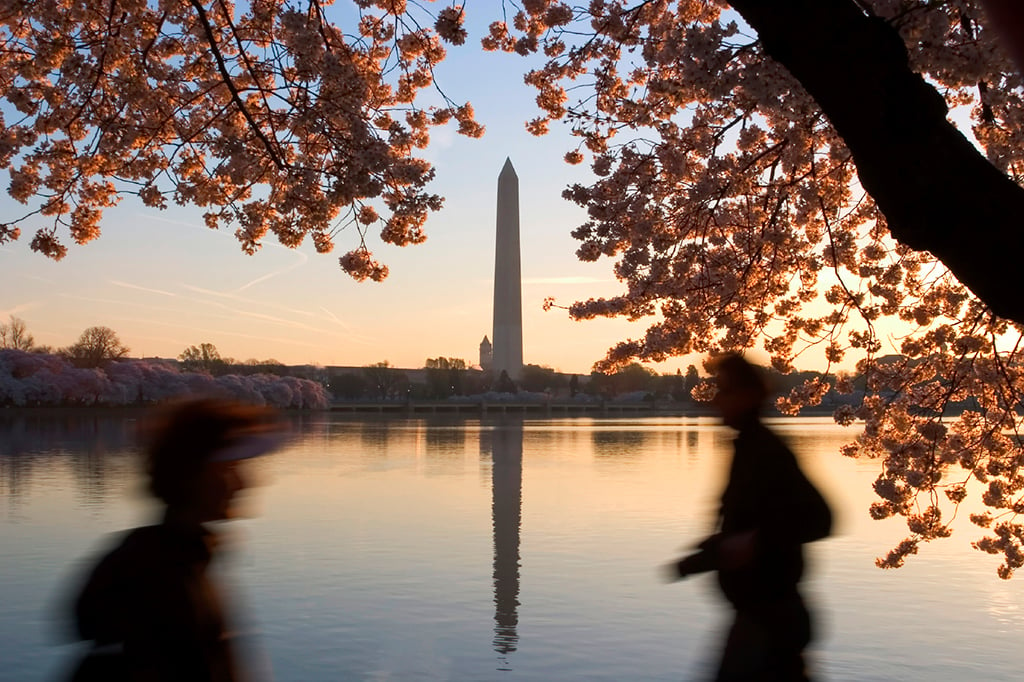 Your One-Month Training Guide to the Cherry Blossom Ten-Miler