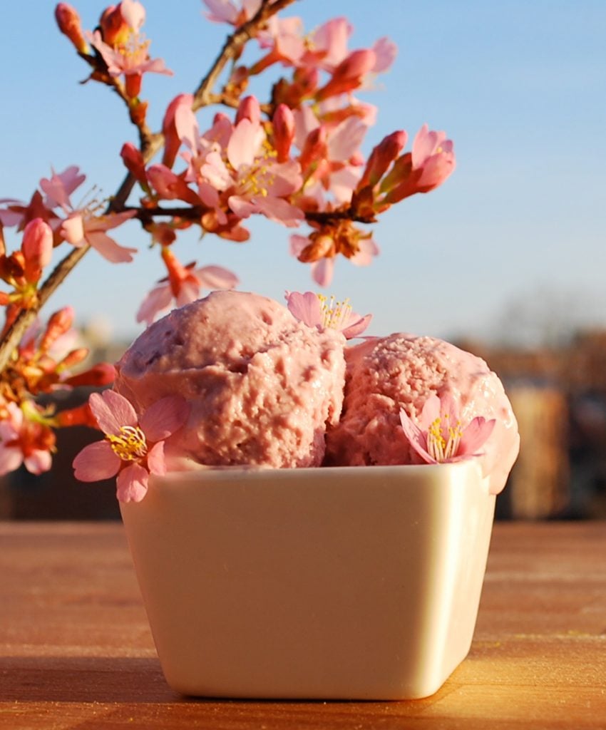 cherry blossom-themed food
