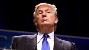 Michelle Fields Discusses Trump Incident in New Book