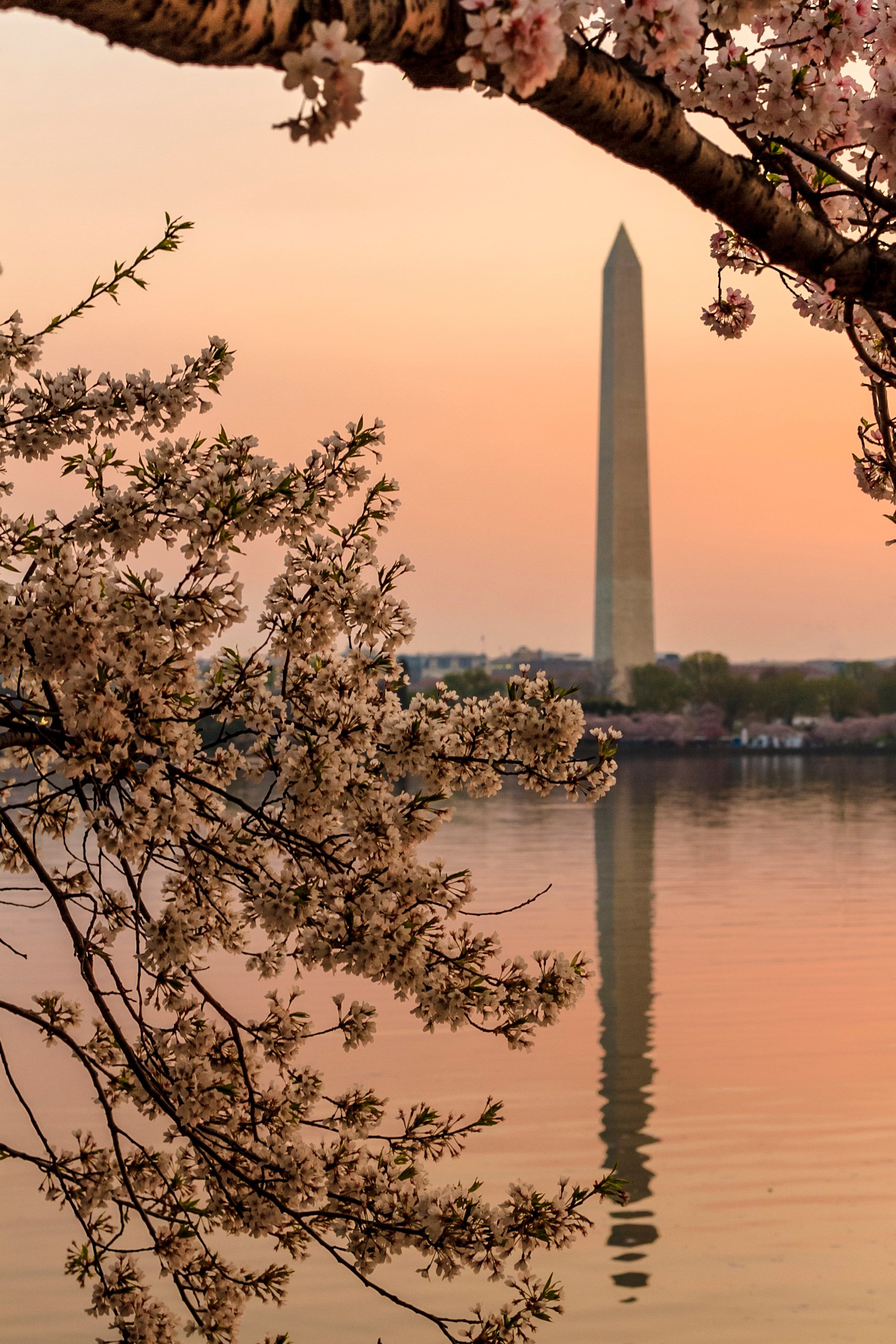 iStock_000058547808_Medium - Washingtonian Serenity now.