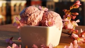 UPDATED: 8 Delicious Cherry Blossom-Themed Treats You Can Find In DC