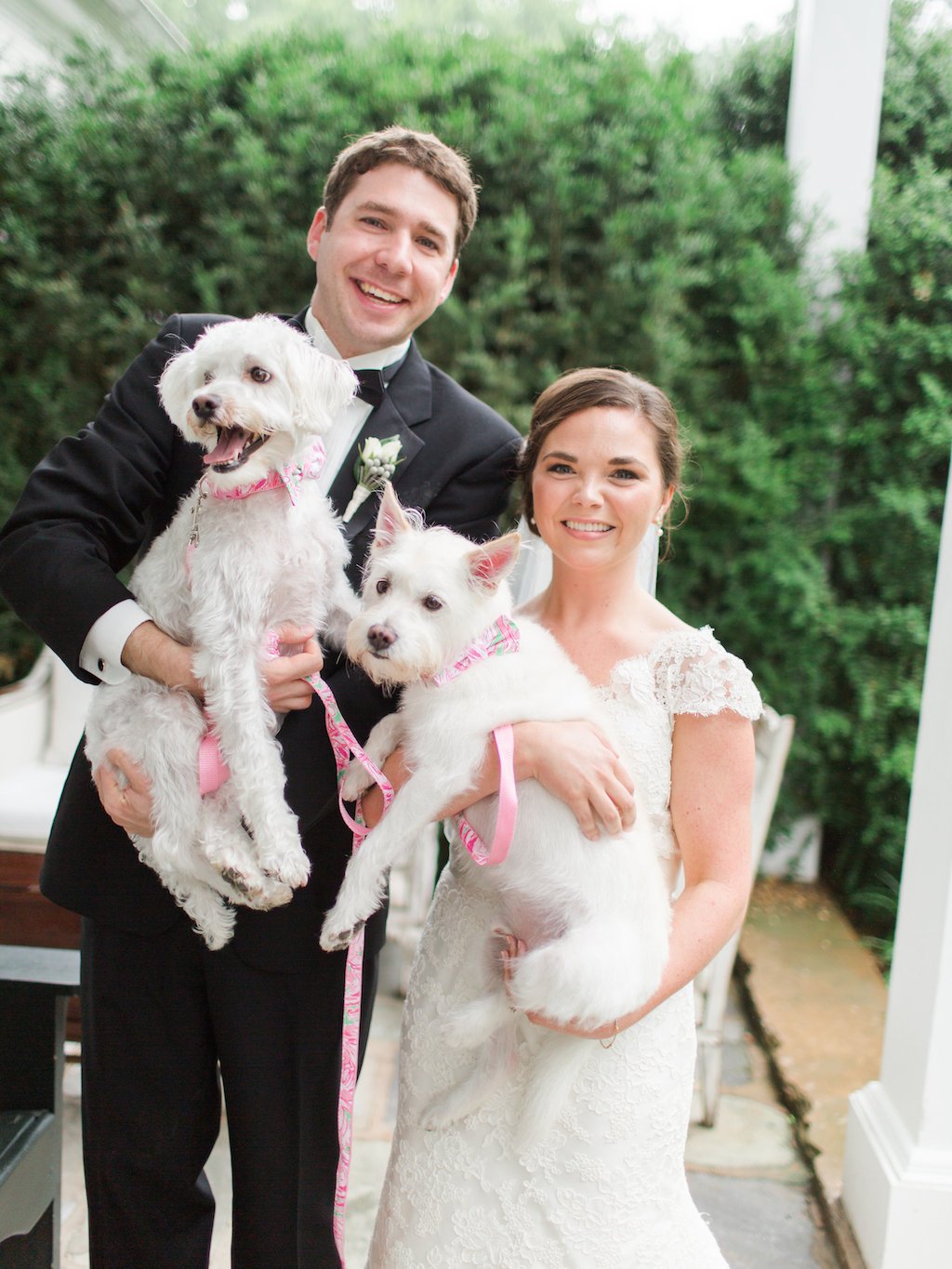 4-1-16-adorable-dogs-at-washington-weddings-14 - Washingtonian 4-1-16-adorable-dogs-at-washington-weddings-14