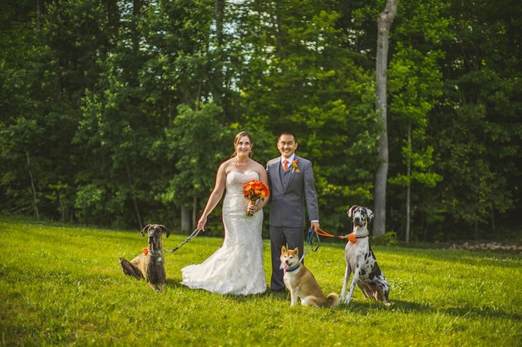 4-1-16-adorable-dogs-at-washington-weddings-15 - Washingtonian 4-1-16-adorable-dogs-at-washington-weddings-15