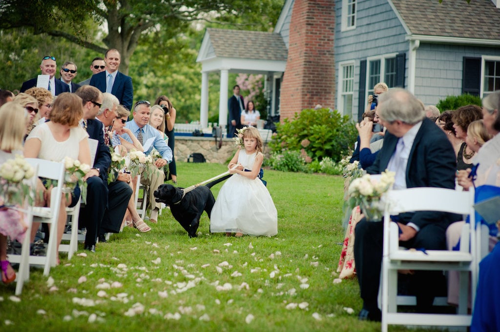 4-1-16-adorable-dogs-at-washington-weddings-2 - Washingtonian 4-1-16-adorable-dogs-at-washington-weddings-2