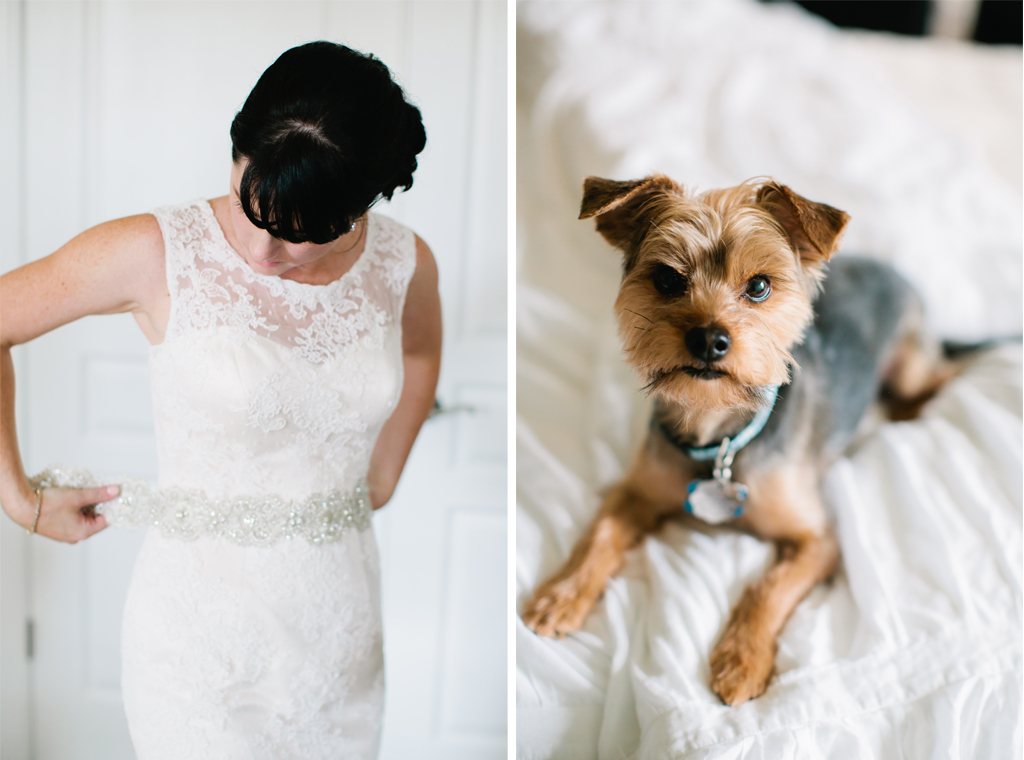 4-1-16-adorable-dogs-at-washington-weddings-3 - Washingtonian 4-1-16-adorable-dogs-at-washington-weddings-3