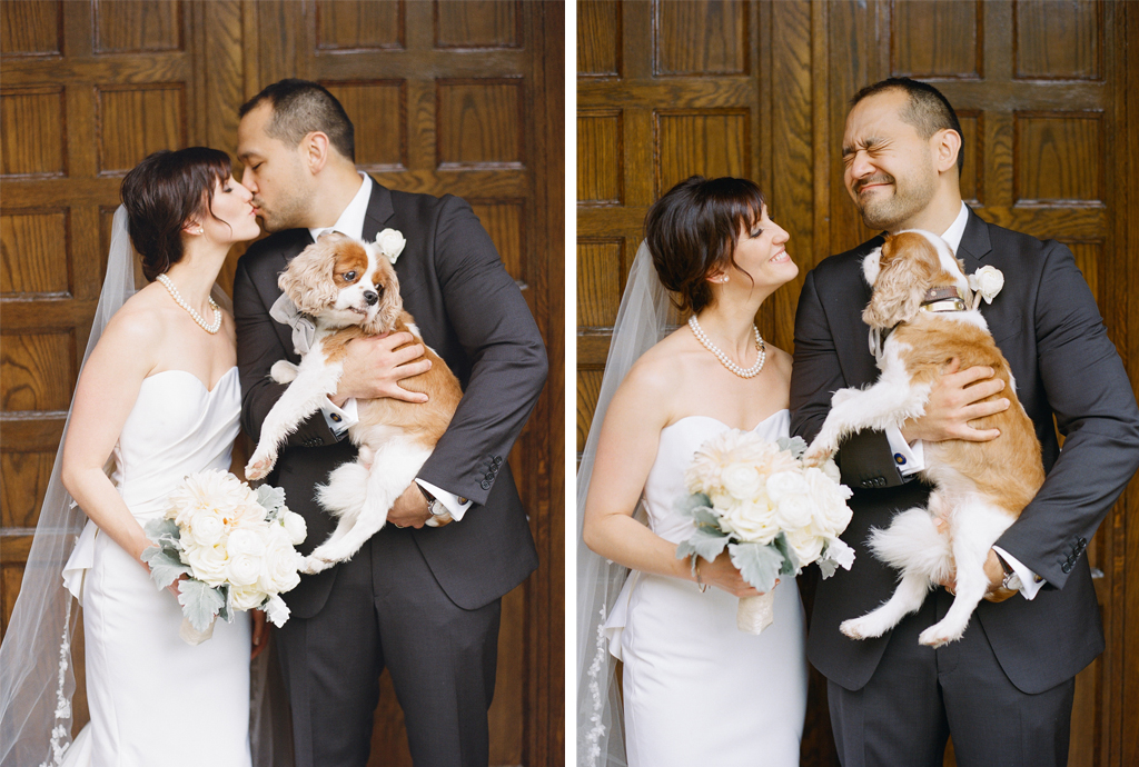 4-1-16-adorable-dogs-at-washington-weddings-8 - Washingtonian 4-1-16-adorable-dogs-at-washington-weddings-8